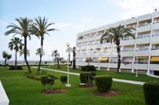 Apartamento en Caleta de velez - 2. TERRASOL ISIS G