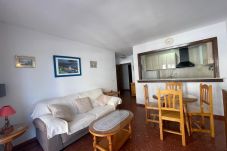 Apartamento en Caleta de velez - 1. TERRASOL  PIRAMIDES APIS 2