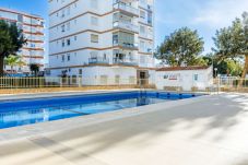 Ferienwohnung in Torre del Mar - TERRASOL SAN FRANCISCO 5-2