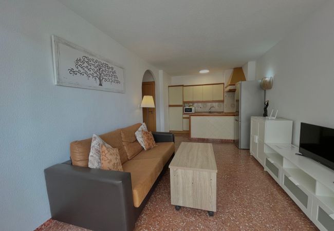 Apartment in Torre del Mar - TERRASOL PLAZAMAR 1-6